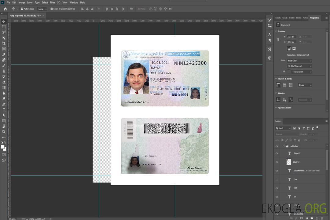 Carte d'identité du New Hampshire aux États-Unis template Carte d'identité du New Hampshire aux États-Unis template
